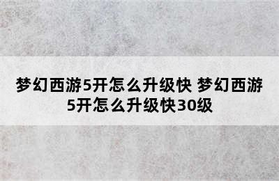 梦幻西游5开怎么升级快 梦幻西游5开怎么升级快30级